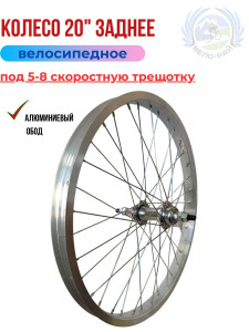 Колесо 20" заднее. Обод AL, втулка хром под трещотку (H36.G14) г. Пенза