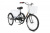 24" Трёхколёсный велосипед РВЗ Чемпион RVZ-H-02-1 складной, 6 speed (чёрный)