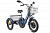 20" Трёхколёсный электровелосипед GREEN CITY e-ALFA Trike (синий) 2787